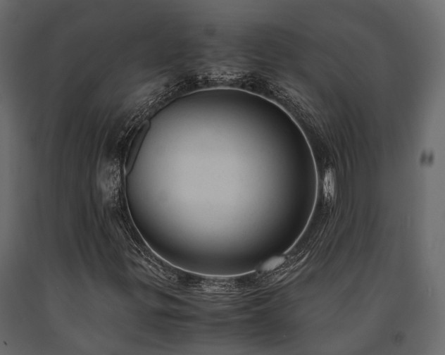 X0000091651299200708231212