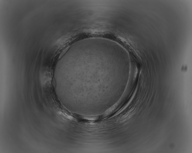 X0000091651300200708231212
