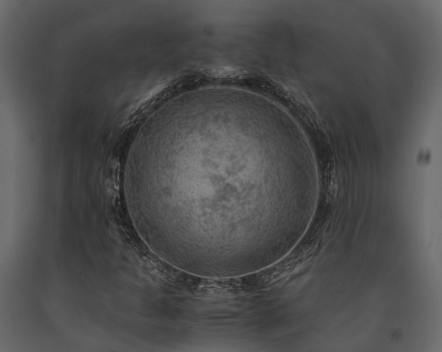 X0000091651301200708231212