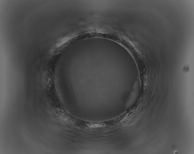 X0000091651303200708231212