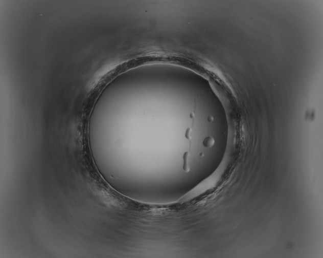 X0000091651304200708231212