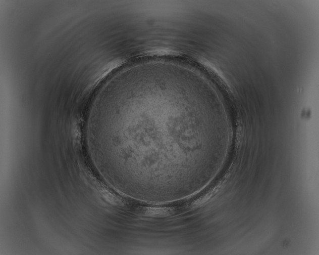 X0000091651305200708231212
