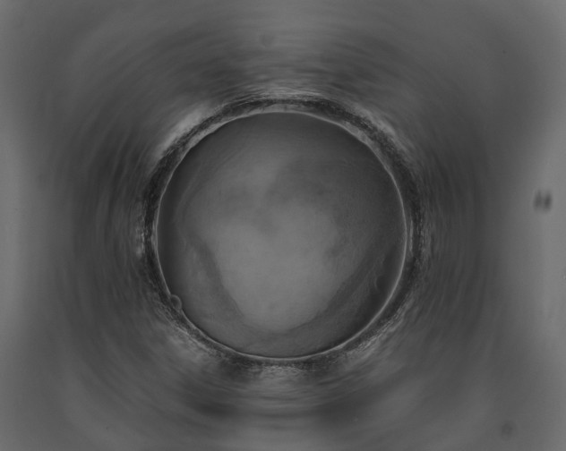 X0000091651306200708231212