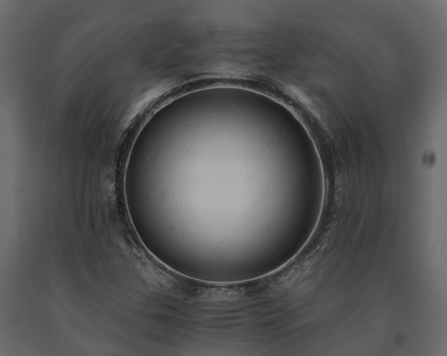 X0000091651307200708231212