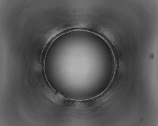X0000091651308200708231212