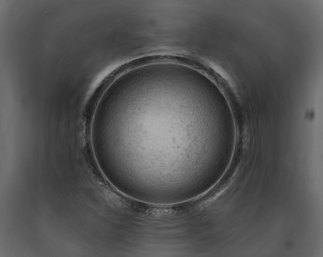 X0000091651310200708231212
