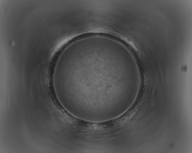 X0000091651311200708231212