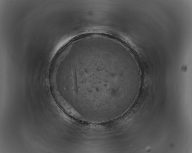 X0000091651312200708231212