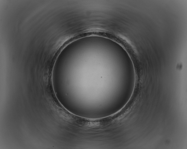 X0000091651313200708231212