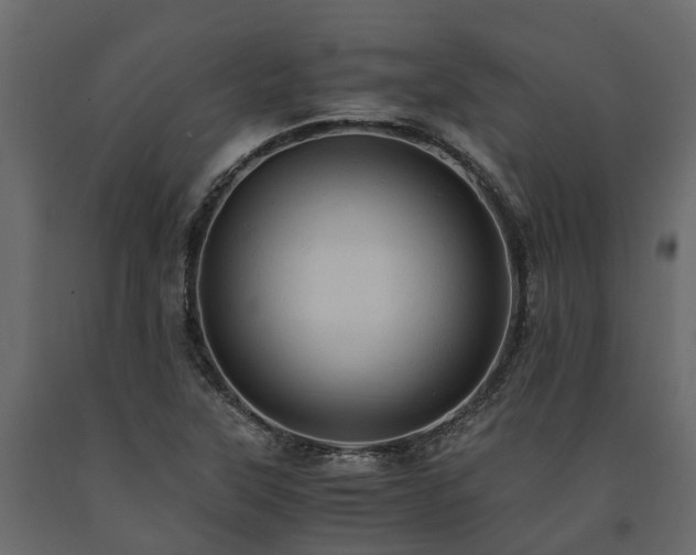 X0000091651315200708231212