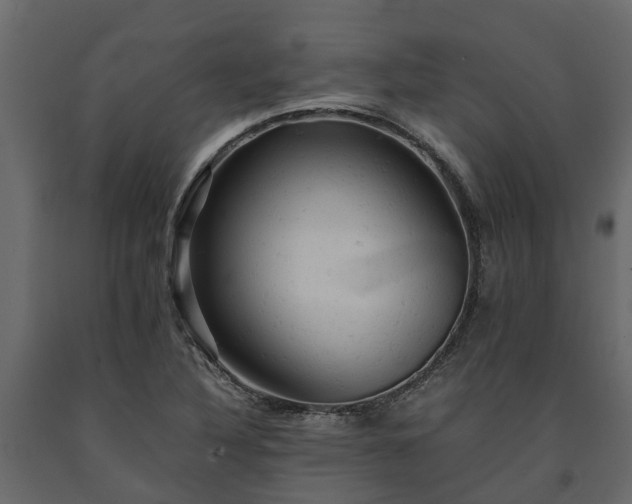 X0000091651316200708231212