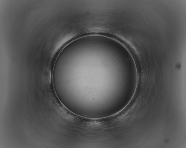 X0000091651317200708231212