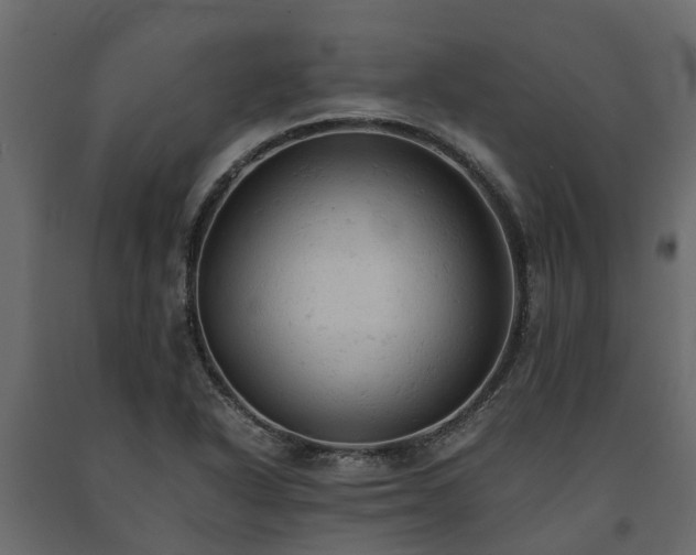X0000091651318200708231212
