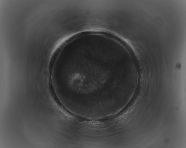 X0000091651319200708231212