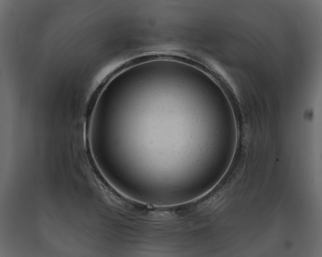 X0000091651320200708231212