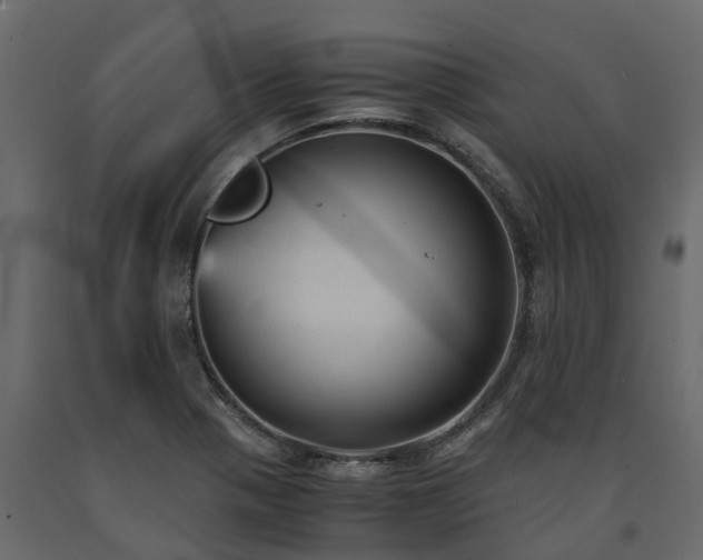 X0000091651321200708231212