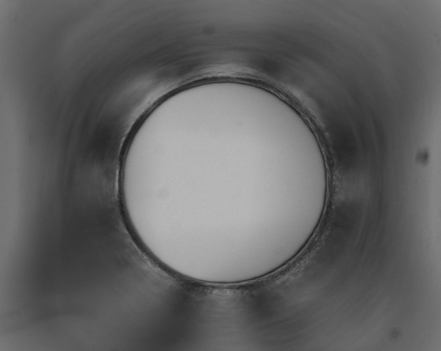 X0000091651322200708231212