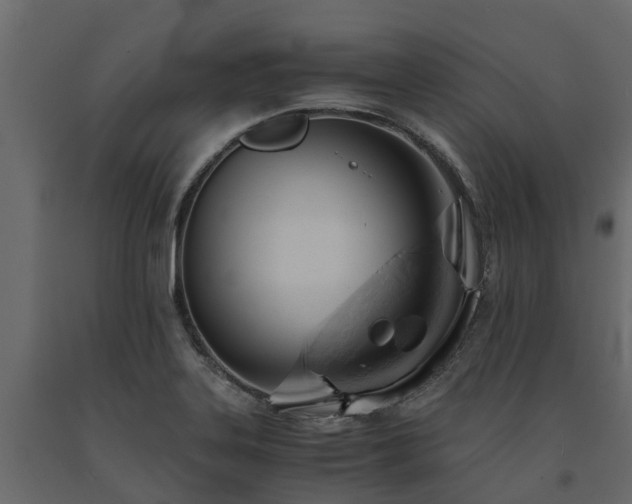 X0000091651323200708231212