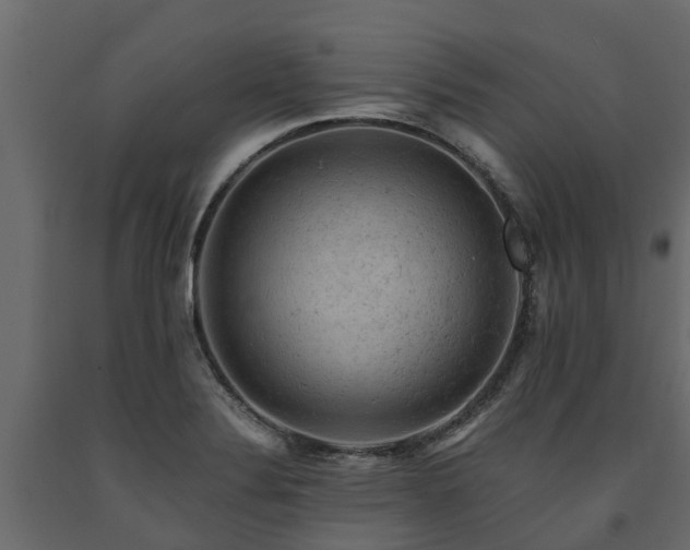 X0000091651324200708231212