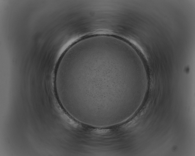 X0000091651325200708231212