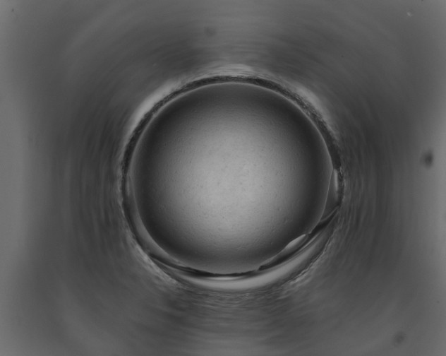 X0000091651326200708231212