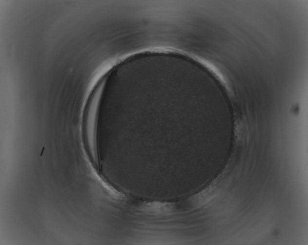 X0000091651327200708231212