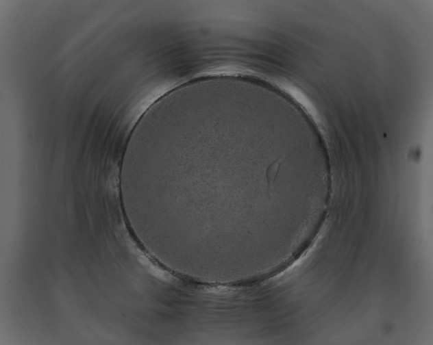 X0000091651329200708231212