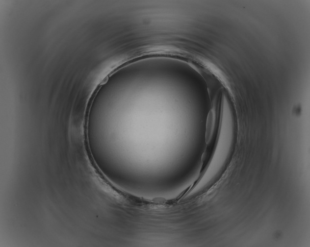 X0000091651330200708231212
