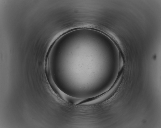 X0000091651332200708231213