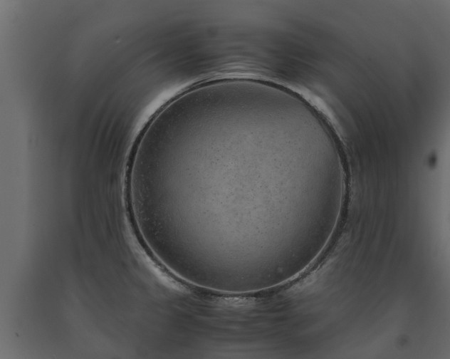 X0000091651333200708231213