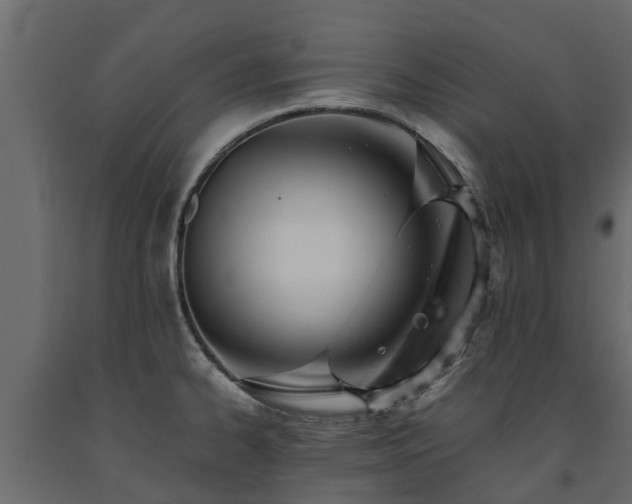 X0000091651334200708231213
