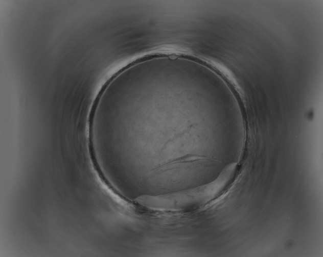X0000091651335200708231213