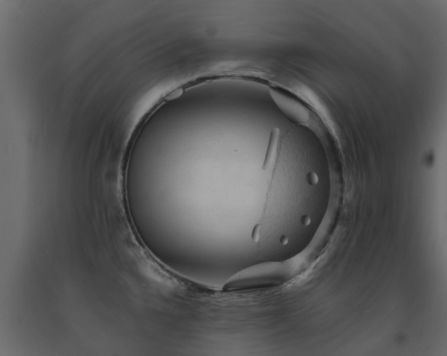 X0000091651336200708231213