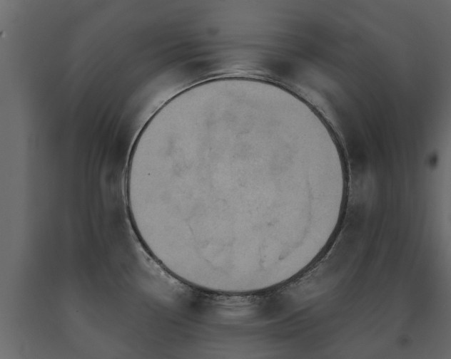X0000091651338200708231213