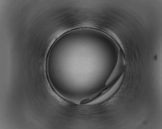 X0000091651339200708231213