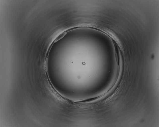 X0000091651340200708231213