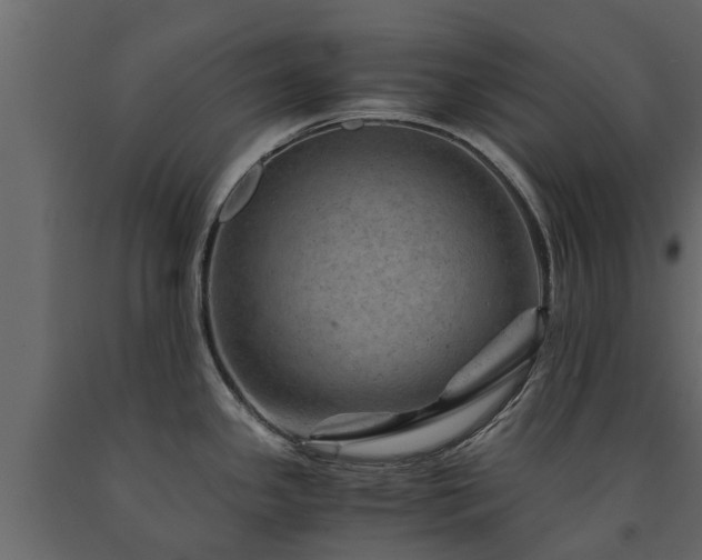 X0000091651341200708231213