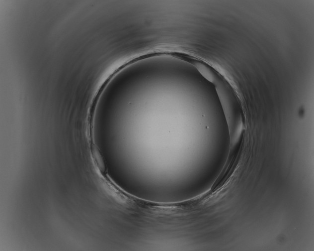 X0000091651342200708231213