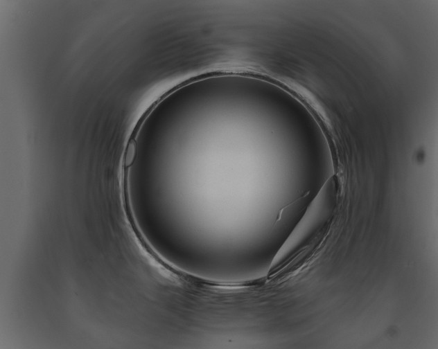 X0000091651343200708231213
