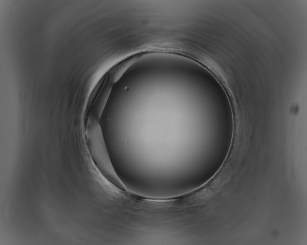 X0000091651344200708231213