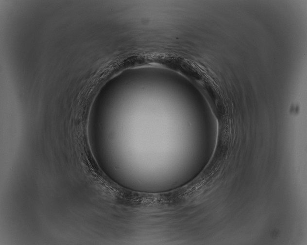 X0000091651345200708231212