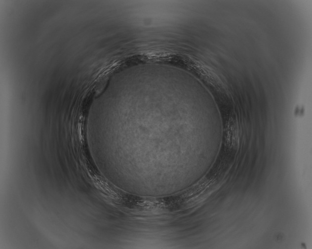 X0000091651346200708231212
