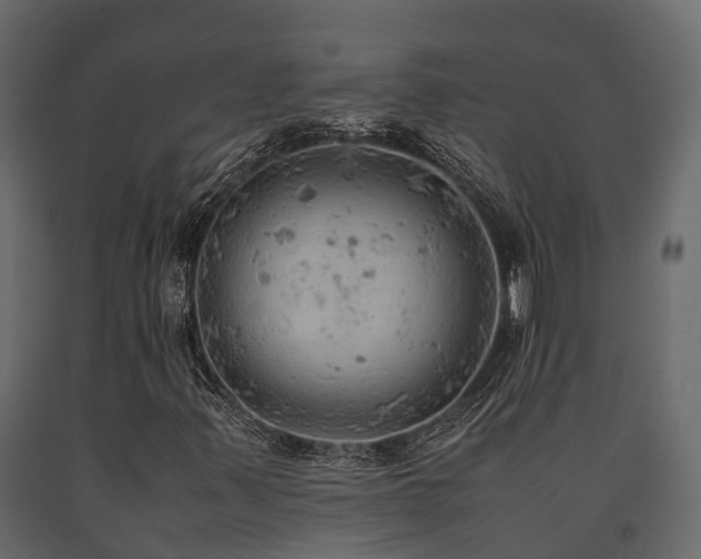 X0000091651347200708231212