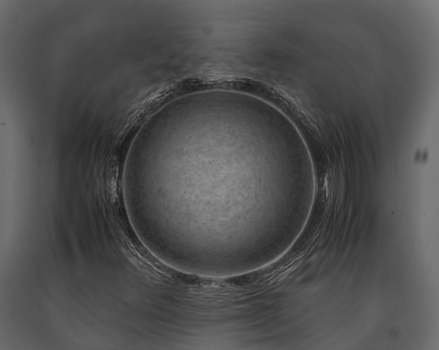 X0000091651348200708231212