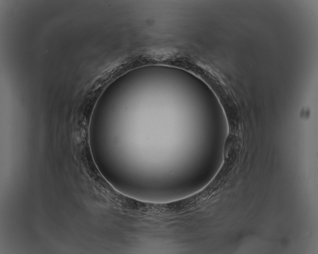 X0000091651349200708231212