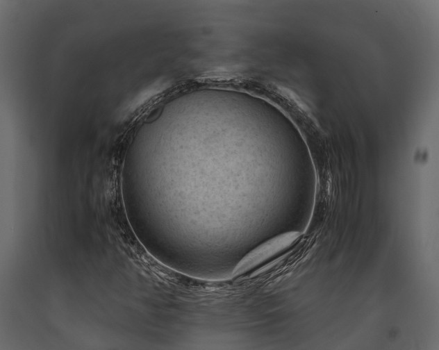 X0000091651350200708231212