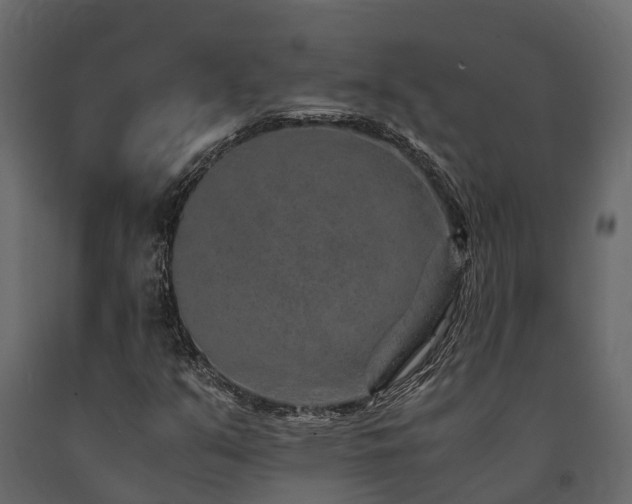 X0000091651351200708231212