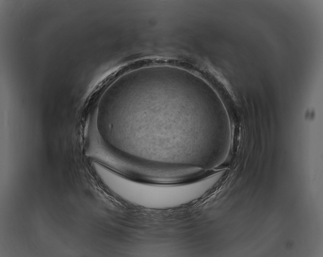 X0000091651352200708231212