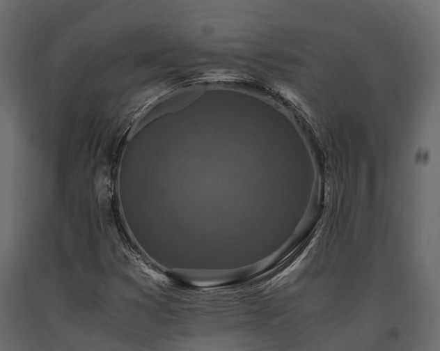 X0000091651353200708231212