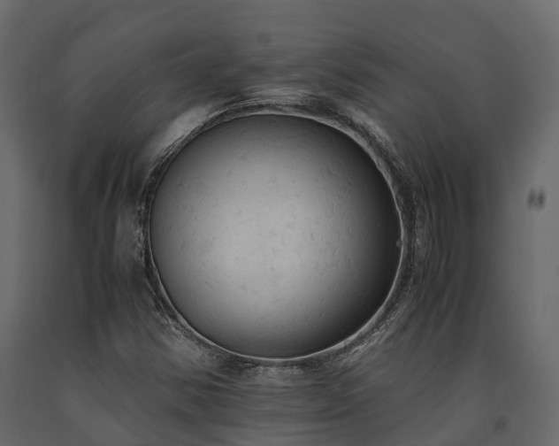 X0000091651354200708231212